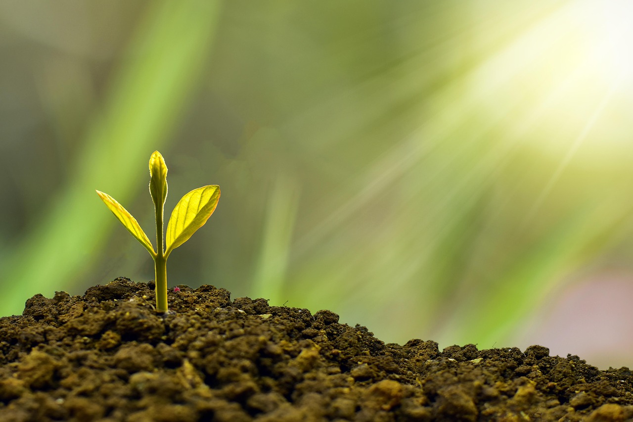 Indexed Universal Life (IUL) Insurance in California